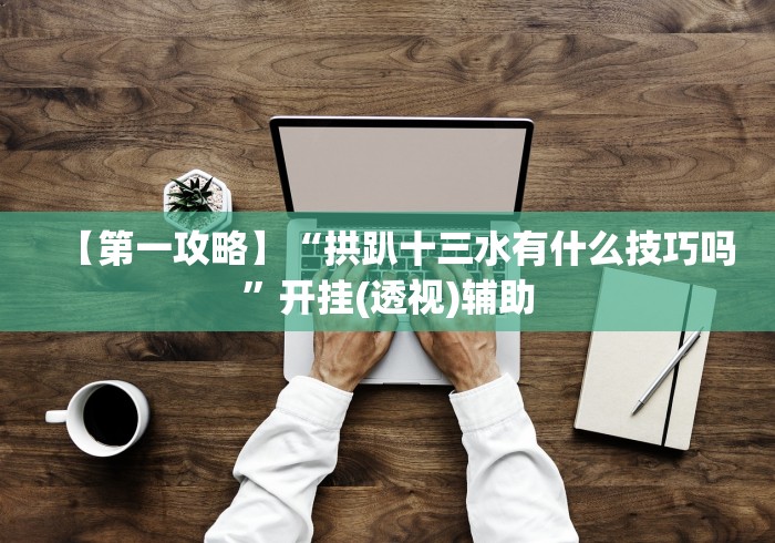 【第一攻略】“拱趴十三水有什么技巧吗”开挂(透视)辅助