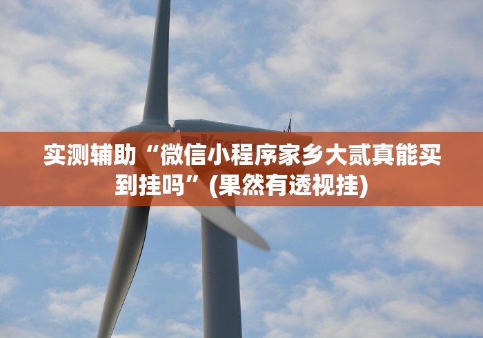 实测辅助“微信小程序家乡大贰真能买到挂吗”(果然有透视挂)