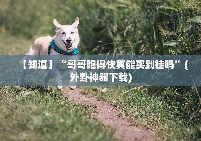 【知道】“哥哥跑得快真能买到挂吗”(外卦神器下载)