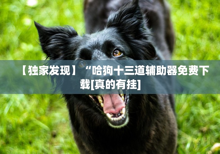 【独家发现】“哈狗十三道辅助器免费下载[真的有挂]