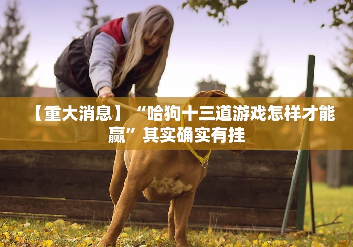 【重大消息】“哈狗十三道游戏怎样才能赢”其实确实有挂 【重大消息】“哈狗十三道游戏怎样才能赢”其实确实有挂