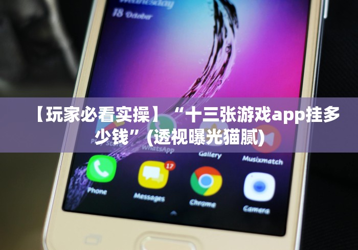 【玩家必看实操】“十三张游戏app挂多少钱”(透视曝光猫腻)