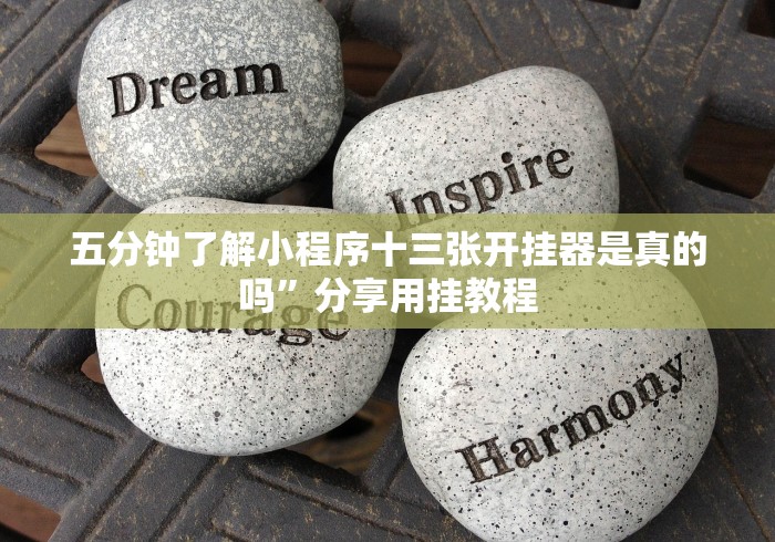 五分钟了解小程序十三张开挂器是真的吗”分享用挂教程