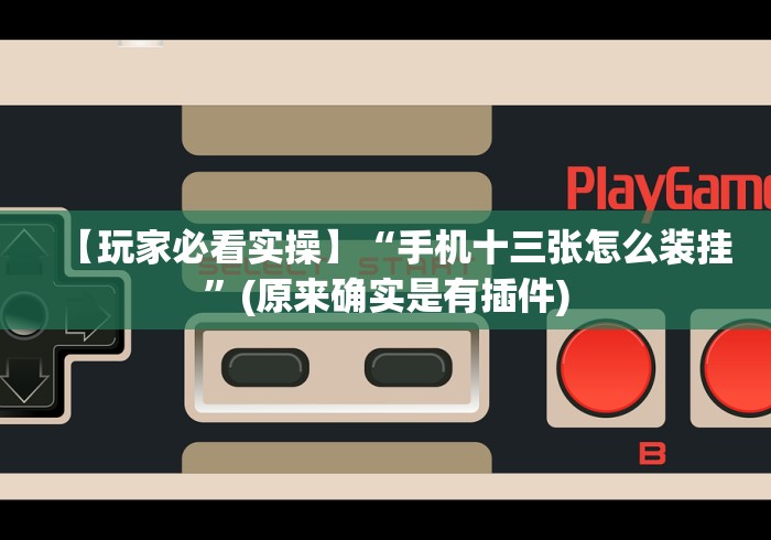 【玩家必看实操】“手机十三张怎么装挂”(原来确实是有插件)