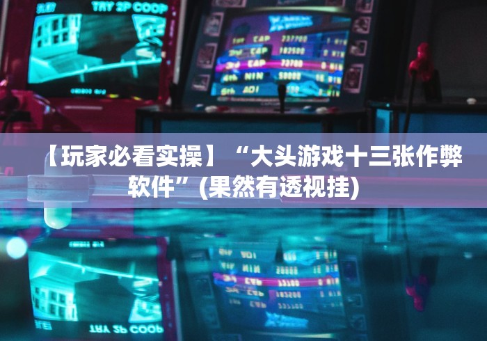 【玩家必看实操】“大头游戏十三张作弊软件”(果然有透视挂)