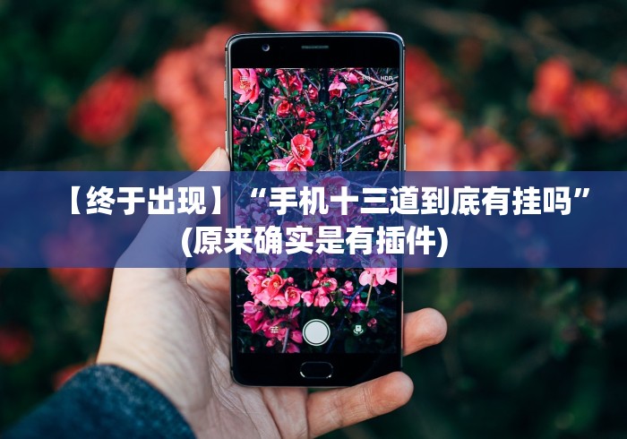 【终于出现】“手机十三道到底有挂吗”(原来确实是有插件)
