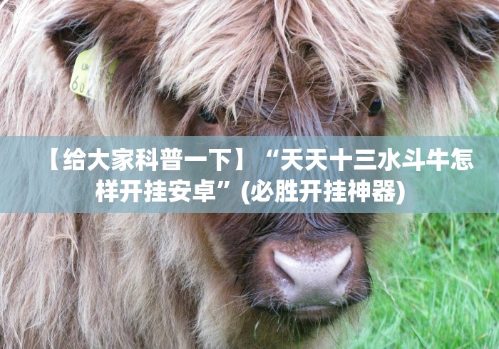 【给大家科普一下】“天天十三水斗牛怎样开挂安卓”(必胜开挂神器)