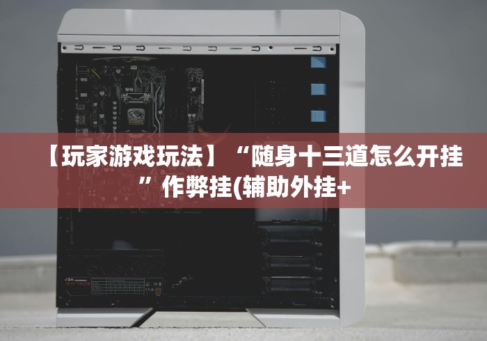 【玩家游戏玩法】“随身十三道怎么开挂”作弊挂(辅助外挂+