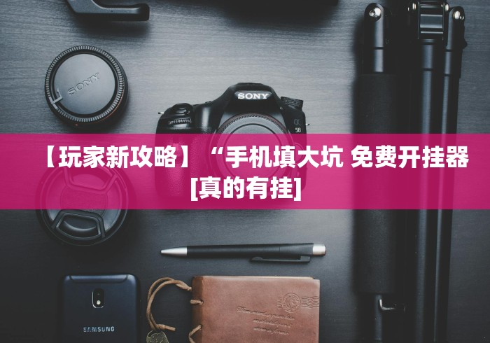 【玩家新攻略】“手机填大坑 免费开挂器[真的有挂]