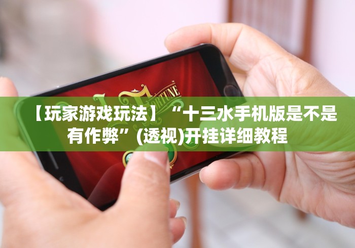 【玩家游戏玩法】“十三水手机版是不是有作弊”(透视)开挂详细教程 【玩家游戏玩法】“十三水手机版是不是有作弊”(透视)开挂详细教程