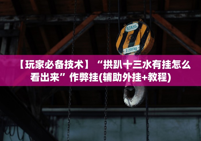 【玩家必备技术】“拱趴十三水有挂怎么看出来”作弊挂(辅助外挂+教程) 【玩家必备技术】“拱趴十三水有挂怎么看出来”作弊挂(辅助外挂+教程)