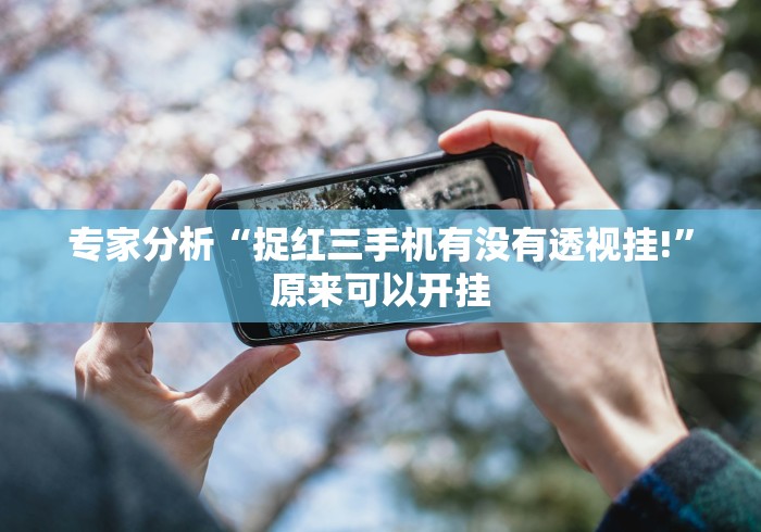 专家分析“捉红三手机有没有透视挂!”原来可以开挂