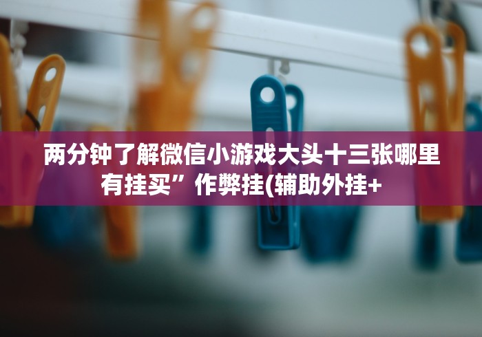 两分钟了解微信小游戏大头十三张哪里有挂买”作弊挂(辅助外挂+