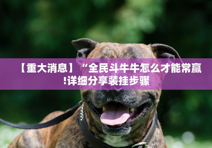 【重大消息】“全民斗牛牛怎么才能常赢!详细分享装挂步骤