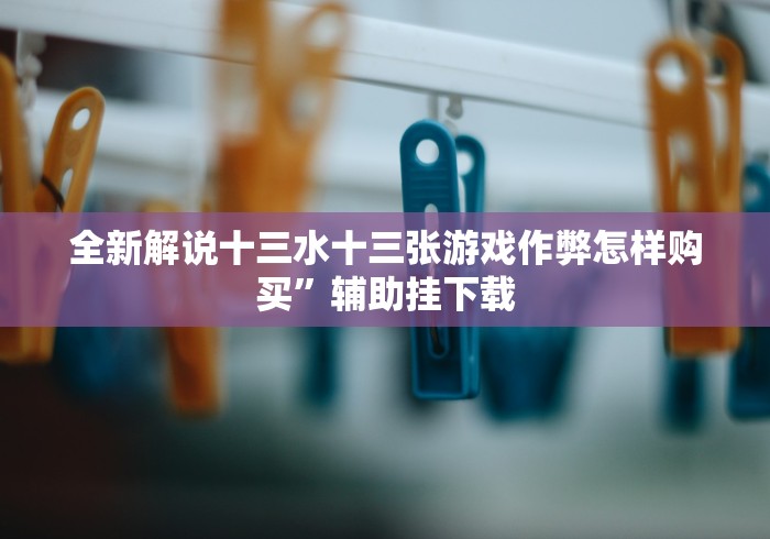 全新解说十三水十三张游戏作弊怎样购买”辅助挂下载