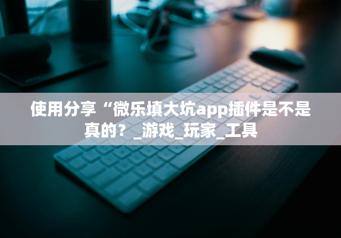 使用分享“微乐填大坑app插件是不是真的？_游戏_玩家_工具