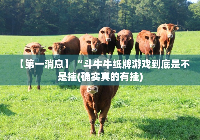 【第一消息】“斗牛牛纸牌游戏到底是不是挂(确实真的有挂)