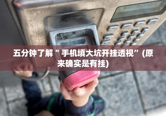 五分钟了解＂手机填大坑开挂透视”(原来确实是有挂)